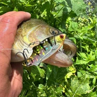 Westin Ricky The Roach Tungsten Vibration Lures